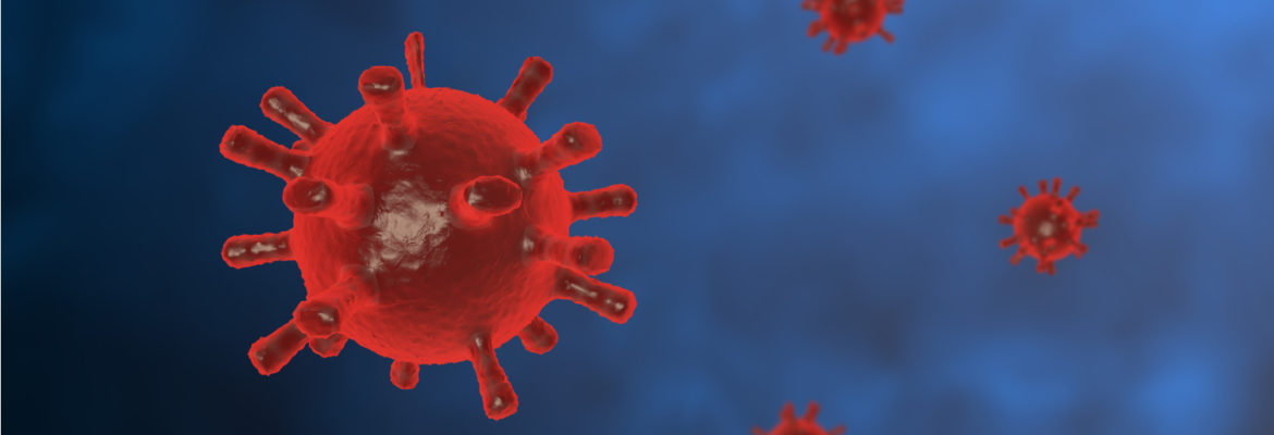 How has corona virus affected your business?